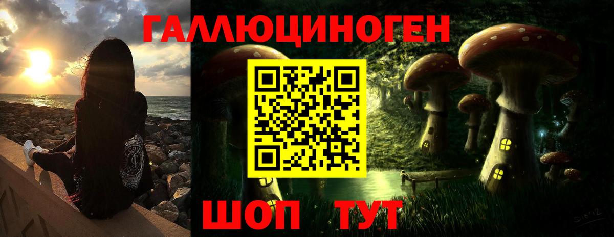 Корсаков  Псилоцибиновые грибы GOLDEN TEACHER  купить наркотик  Вход с VPN 