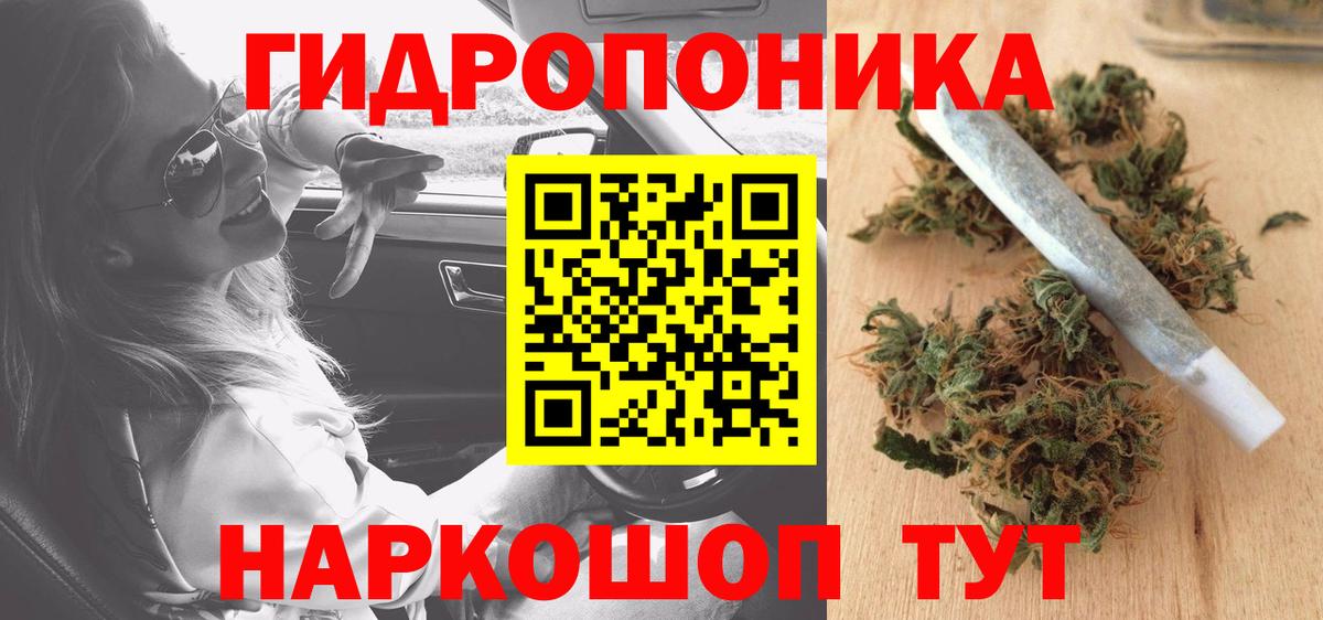 Корсаков  Бошки Шишки OG Kush  Вход с VPN  МАРИХУАНА планчик  Каннабис Amnesia 